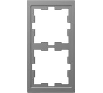 2-ая рамка Systeme Electric Merten D-Life Нержавеющая Сталь SE MTN4020-6536