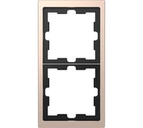 2-ая рамка Systeme Electric Merten D-Life Шампань SE MTN4020-6551