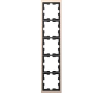 5-ая рамка Systeme Electric Merten D-Life Шампань SE MTN4050-6551