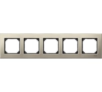 5-ая рамка Systeme Electric Merten SM M-Elegance Титан SE MTN403505