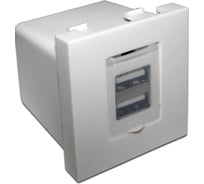 Модуль LANMASTER USB-зарядки, 2 порта, 45x45, белый LAN-EZ45x45-2U/R2-WH