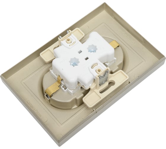 Розетка Systeme Electric AtlasDesign Шампань с/з двойная, со шторками, 16А, в сборе SE ATN000526