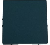 Заглушка Systeme Electric AtlasDesign Изумруд SE ATN000809