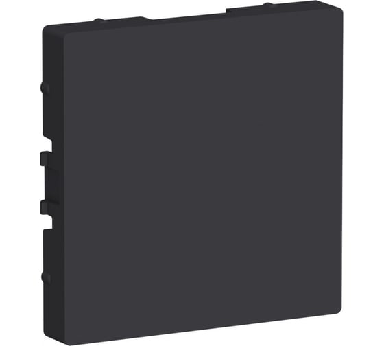 Заглушка Systeme Electric (Schneider Electric) Atlasdesign SE карбон ATN001009 1