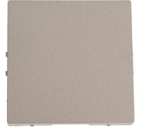 Заглушка Systeme Electric AtlasDesign Шампань SE ATN000509