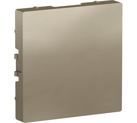 Заглушка Systeme Electric AtlasDesign Шампань SE ATN000509