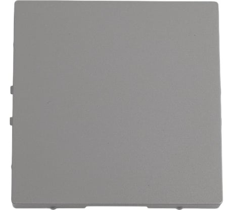 Заглушка Systeme Electric AtlasDesign Сталь SE ATN000909