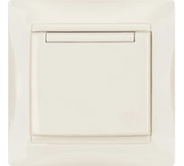 Розетка с защитными шторками и крышкой с заземлением 16А 250В IP44 перламутр серия "Лама" TDM ELECTRIC SQ1815-0814