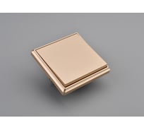 1 клавишный выключатель ALTECH ENCORE 1SY скрытого монтажа шампань в сборе 07439