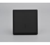Клавишный выключатель с индикацией ALTECH ENCORE 1SIB скрытого монтажа черный в сборе 07444