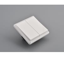 Клавишный выключатель ALTECH ENCORE 2SW скрытого монтажа белый в сборе 07445