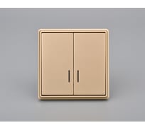 2-клавишный выключатель с индикацией ALTECH ENCORE 2SIY скрытого монтажа шампань в сборе 07451