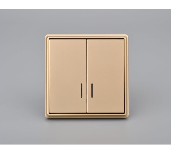 Выключатель 2 клавишный с индикацией ALTECH ENCORE скрытого монтажа шампань в сборе 46737582 07452 1