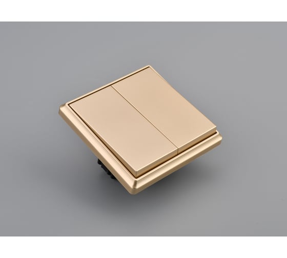 Выключатель 2-клавишный ALTECH ENCORE 2SY скрытого монтажа шампань в сборе 46737585 07448 1