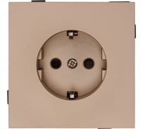 1-местная силовая розетка ALTECH ENCORE 1SY скрытого монтажа с заземлением и шторками шампань механизм 07357