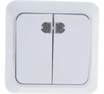 Выключатель 2 клавишный с индикацией ALTECH SPACE открытого монтажа белый 07432