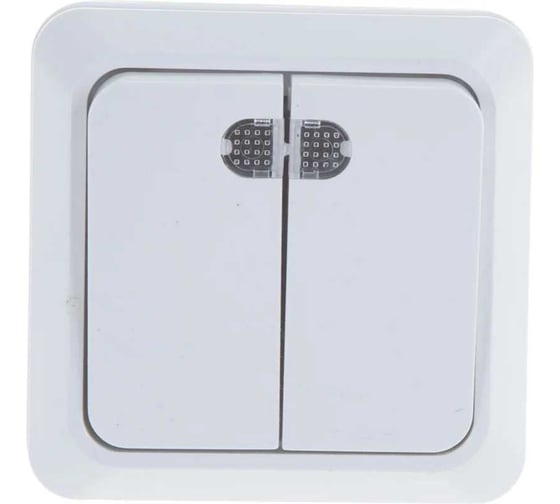 Выключатель 2 клавишный с индикацией ALTECH SPACE открытого монтажа белый 07432 1