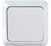 Выключатель 1 клавишный ALTECH SPACE 1SOW накладной белый 07429