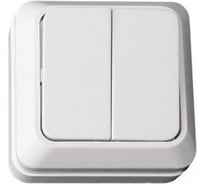 Выключатель 2-клавишный ALTECH SPACE 2SOW открытого монтажа белый 07430