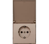 1-местная силовая розетка ALTECH ENCORE 1SY IP44 скрытого монтажа с заземлением и шторками шампань механизм 07359