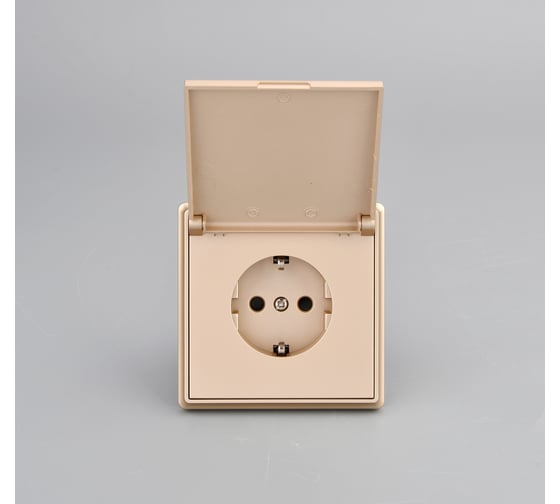 Розетка силовая 1-местная ALTECH ENCORE 1SY скрытого монтажа IP44 с заземлением и шторками шампань механизм 07359 1