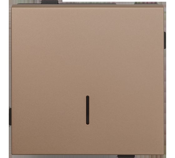 Одноклавишный выключатель с индикицией ALTECH ENCORE 1SIY скрытого монтажа, шампань, механизм 07392 1