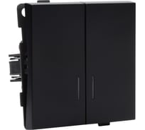 Двухклавишный выключатель с индикацией ALTECH ENCORE 2SIВ скрытого монтажа, черный, механизм 07404