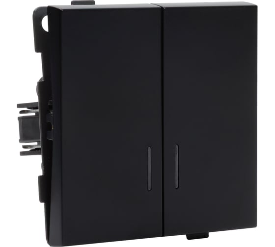 Двухклавишный выключатель с индикацией ALTECH ENCORE 2SIВ скрытого монтажа, черный, механизм 07404 1