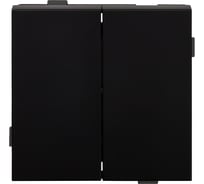 Двухклавишный выключатель ALTECH ENCORE 2SВ скрытого монтажа, черный, механизм 07403