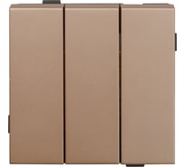 Трехклавишный выключатель ALTECH ENCORE 3SY скрытого монтажа, шампань, механизм 07396