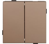 Двухклавишный выключатель ALTECH ENCORE 2SY скрытого монтажа, шампань, механизм 07394