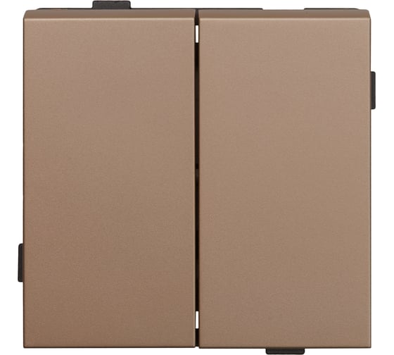 Двухклавишный выключатель ALTECH ENCORE 2SY скрытого монтажа, шампань, механизм 07394 1