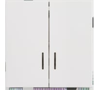 2-клавишный выключатель с индикацией ALTECH ENCORE 2SIW скрытого монтажа белый механизм 07377