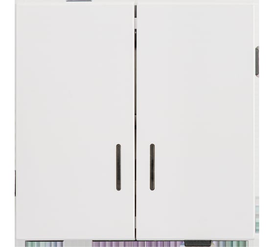 Двухклавишный выключатель с индикацией ALTECH ENCORE 2SIW скрытого монтажа, белый, механизм 07377 1