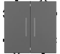 Механизм выключателя двухклавишный проходной Arlight LED SWT-NOBE-MKP2-SFPL-L-GR 1шт 054269