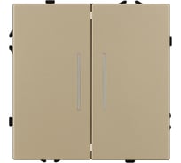 Механизм выключателя двухклавишный проходной Arlight LED SWT-NOBE-MKP2-SFPL-L-GD 1шт 054268