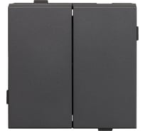 2 клавишный выключатель ALTECH ENCORE 2SG скрытого монтажа графит механизм 07385