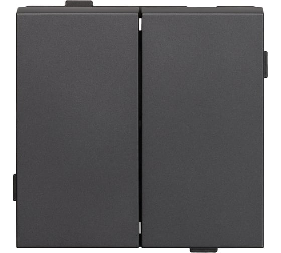 2 клавишный выключатель ALTECH ENCORE 2SG скрытого монтажа графит механизм 07385 1