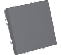 Механизм выключателя STEKKER 1-клавишный самовозвратный, 250В, 10А, серия Эмили, RSW10-5112-10, платиново-серый, soft touch, 50328