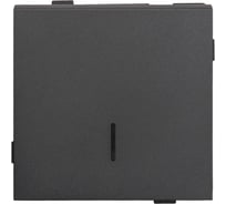 Одноклавишный проходной выключатель с индикацией ALTECH ENCORE 1TSIG скрытого монтажа,, механизм графит 07384