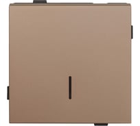 Одноклавишный проходной выключатель с индикацией ALTECH ENCORE 1TSIY скрытого монтажа, шампань, механизм 07393
