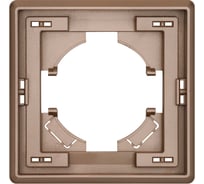 1-местная рамка ALTECH ENCORE 1PY шампань 07417