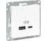 Механизм розетки EKF USB-A+С, белый Эпика UP1-SOW-USBA+USBC 1