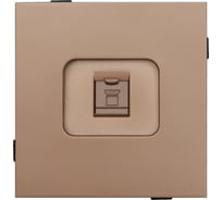 Одноместная компьютерная розетка ALTECH ENCORE 1SPCY cat6 10Gb скрытого монтажа механизм шампань 07362