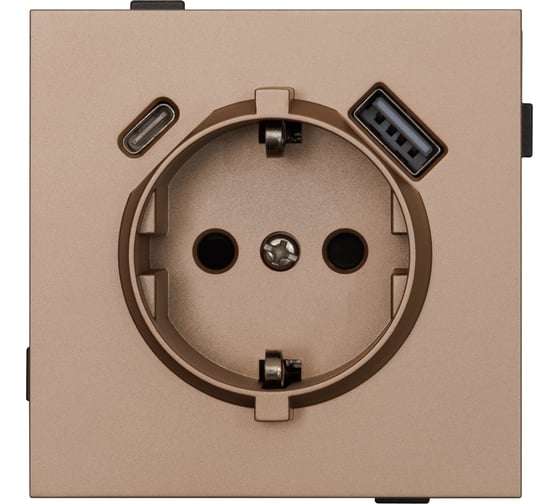 Одноместная USB/TYPE-C розетка ALTECH ENCORE 1SUCY скрытого монтажа с заземлением и шторками шампань механизм 07360 1