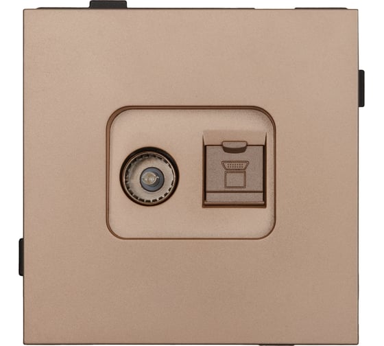 Одноместная TV/компьютерная розетка ALTECH ENCORE 1STVPCY скрытого монтажа шампань механизм 07363 1