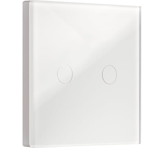 Сенсорный выключатель SMARTBUY двухклавишный, белый SBE-e1w-10-SW2-0 1
