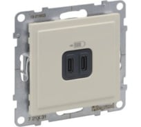 Зарядное устройство Legrand SUNO USB 2 выхода Тип С - Тип С Цвет Слоновая кость 721231