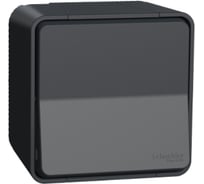 Перекрестный переключатель Systeme Electric Mureva Styl наружый Антрацит, сх.7, IP55 MUR35023