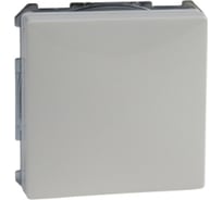 Розетка Systeme Electric Merten SD Бежевый 16А с заземляющим контактом, со шторкой, с крышкой SE MTN2310-4019